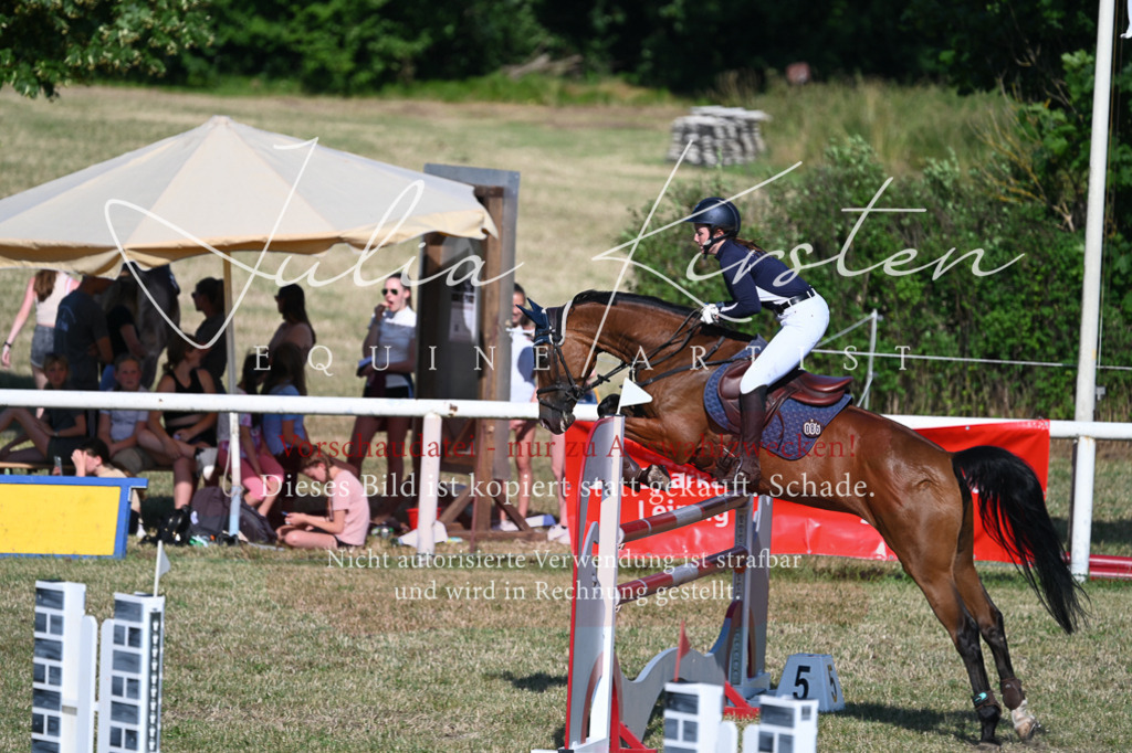 DSC_2439 | Pferde- und Turnierfotografie in Westsachsen. Pferdeportraits, Auftragszeichnungen und intuitive Kunst.