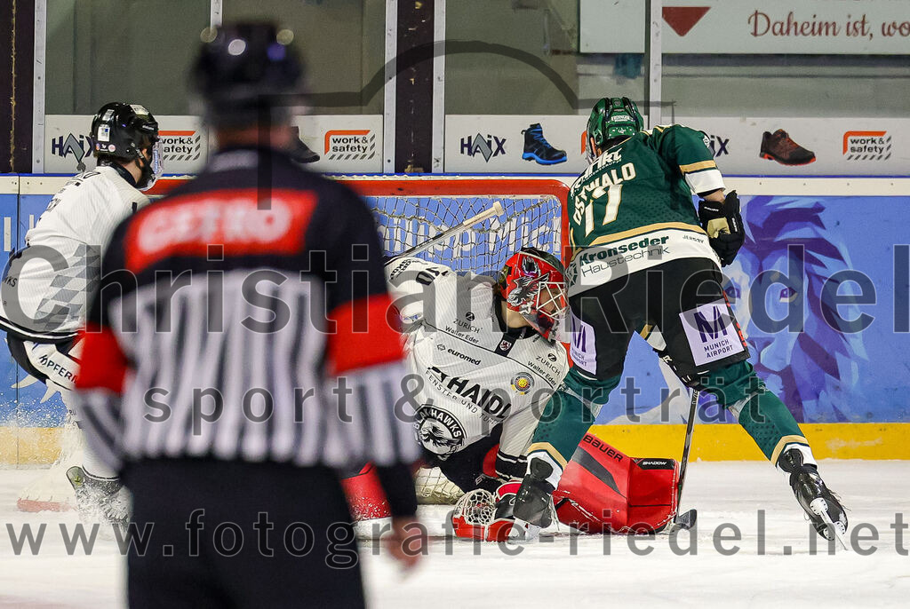 2025-11-25_090_TSV_Erding_gegen_EHF_Passau_Black_Hawks | Erding, Deutschland, 25.11.2025:Eishockey, Oberliga Süd 2025 / 2026, 20. Spieltag, TSV Erding gegen EHF Passau Black Hawks, Endergebnis: 2:3 n.V.Torwart Janik Engler (EHF Passau Black Hawks, #30), Elia Ostwald (Erding Gladiators, #17)Foto: Christian Riedel / fotografie-riedel.net