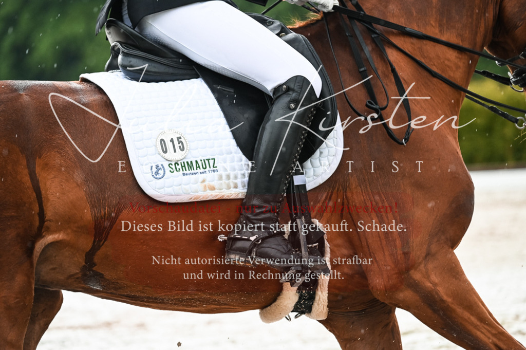 DSC_4311 | Pferde- und Turnierfotografie in Westsachsen. Pferdeportraits, Auftragszeichnungen und intuitive Kunst.