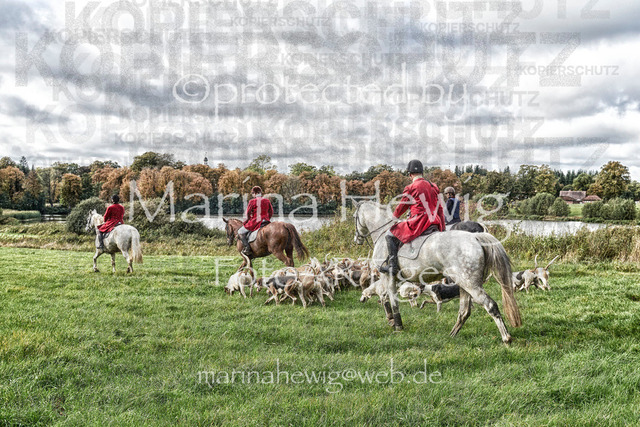 Jagdszenen-14_MarinaHewig Kopie | Fotografie, FotoArt, PferdesportArt, Pferdesportfotografie, Landschaftsfotografie, Reisefotografie, Reise, Pferde - Realisiert mit Pictrs.com