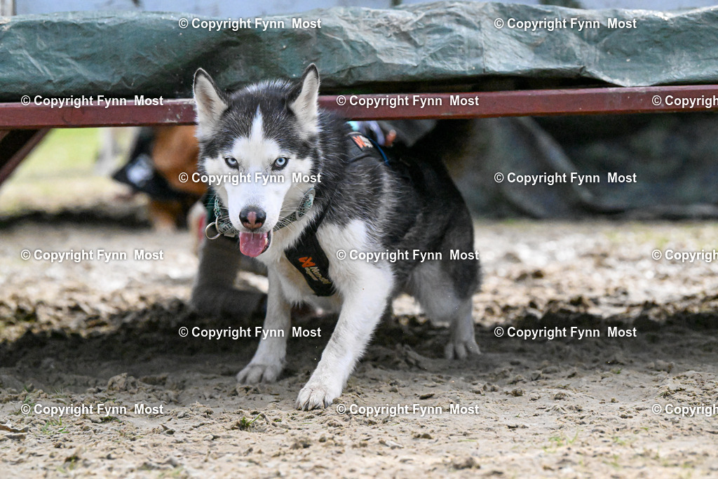 DSC_6383 | Hallo und herzlich Willkommen auf meiner Shop-Seite Fynn Most.

Ich wünsche Dir viel Spaß beim stöbern durch die Bilder, wenn Du Fragen hast oder Bilder vermisst, kannst du mir gerne eine Nachricht schreiben. - Realisiert mit Pictrs.com