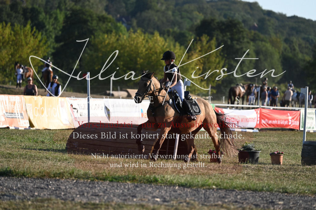 DSC_9172-2 | Pferde- und Turnierfotografie in Westsachsen. Pferdeportraits, Auftragszeichnungen und intuitive Kunst.