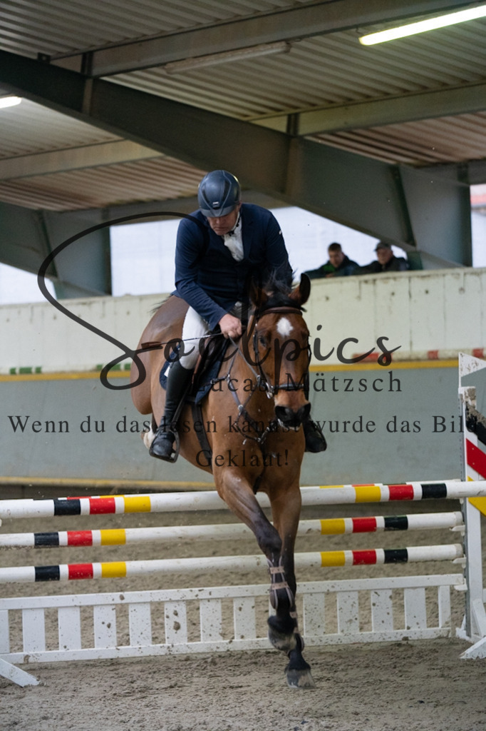 A7V08909 | Pferdefotograf