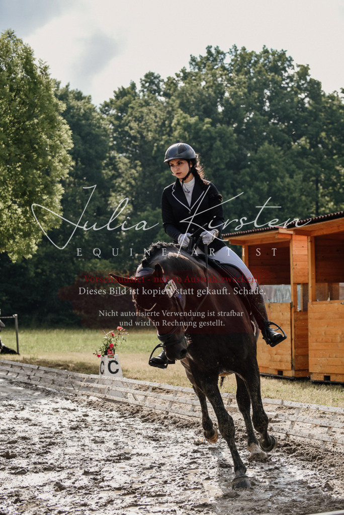 DSC_8607 | Pferde- und Turnierfotografie in Westsachsen. Pferdeportraits, Auftragszeichnungen und intuitive Kunst.