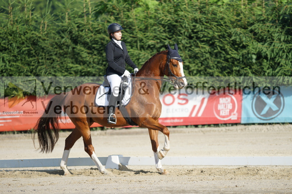 DSC04310 | equestrian-live-com