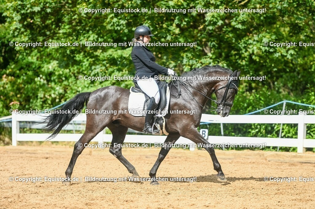 20230716_01_Dressurprüfung Kl.M_0596 | equistock