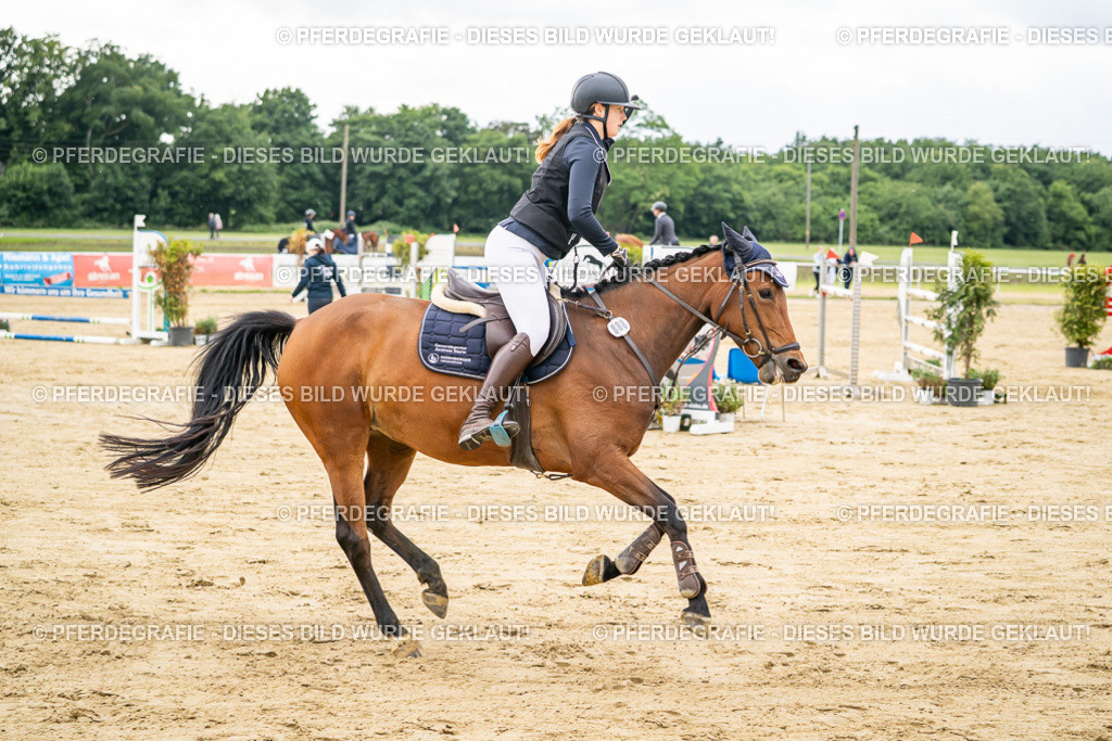 DSC06383 | Pferdegrafie