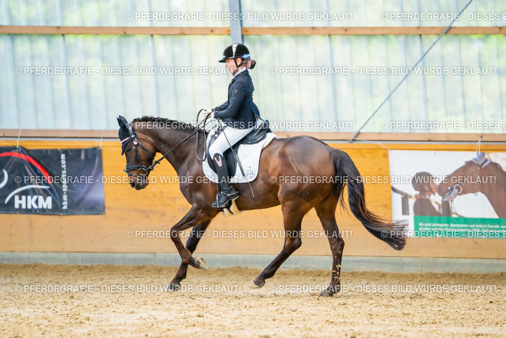 DSC07315 | Pferdegrafie