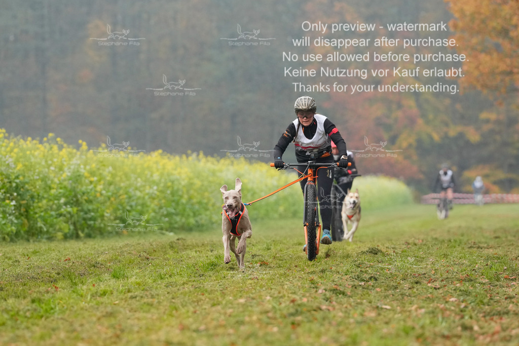 Visbeck_Sa_Scooter_Hc-52 | stephaniefillaphotographie - Realisiert mit Pictrs.com