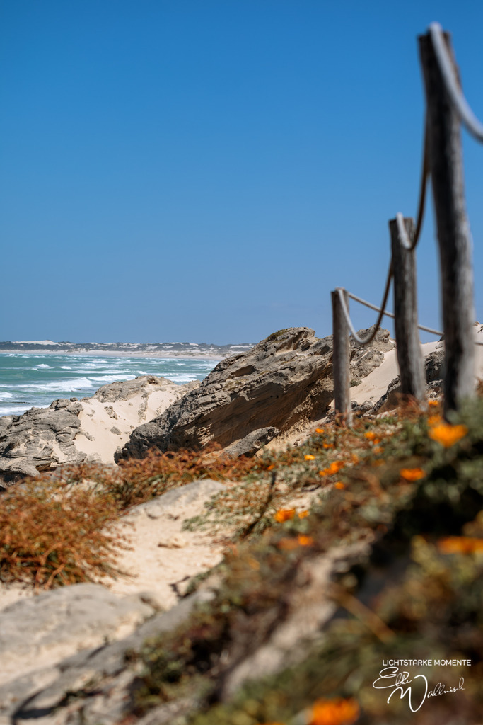 20231001-122440 SOUTHAFRIKA_-1 | Herzlich willkommen auf meiner Seite! Ich bin Elke Wallnisch, Deine Fotografin für lichtstarke Momente. Der Name steht für alles, was mich mit der Fotografie verbindet: Das Licht und seine machtvolle Wirkung auf eine Situation oder unsere Stimmung - Realisiert mit Pictrs.com