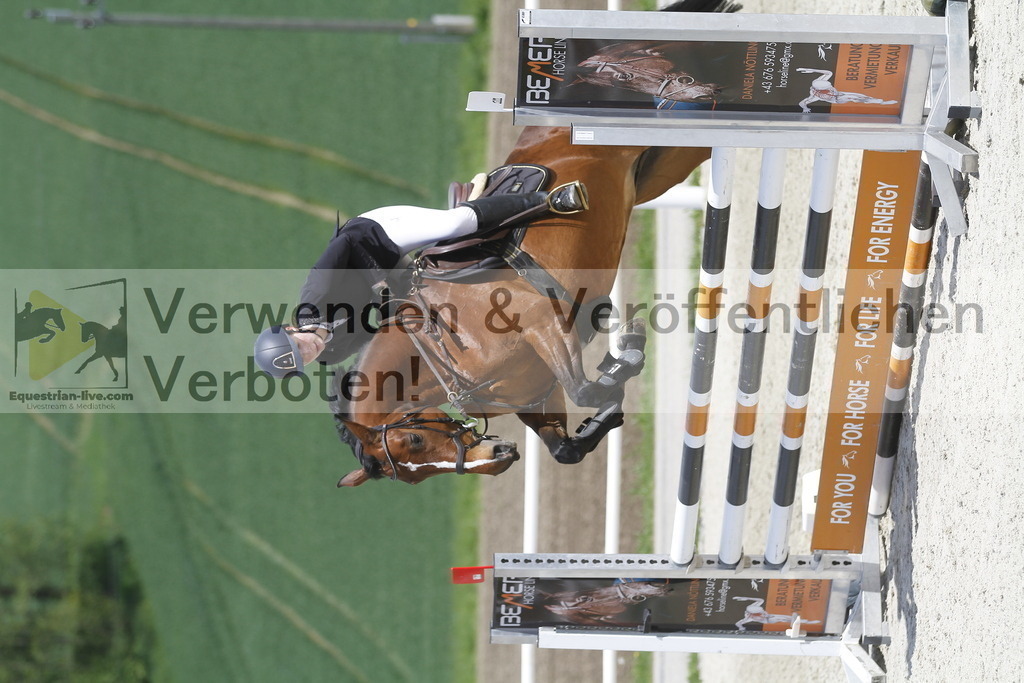 _MG_2136 | equestrian-live-com
