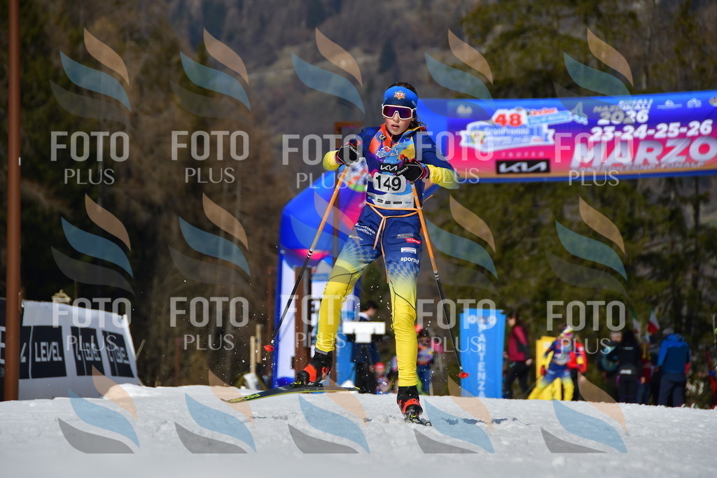 _DSC0240 | holidayphoto