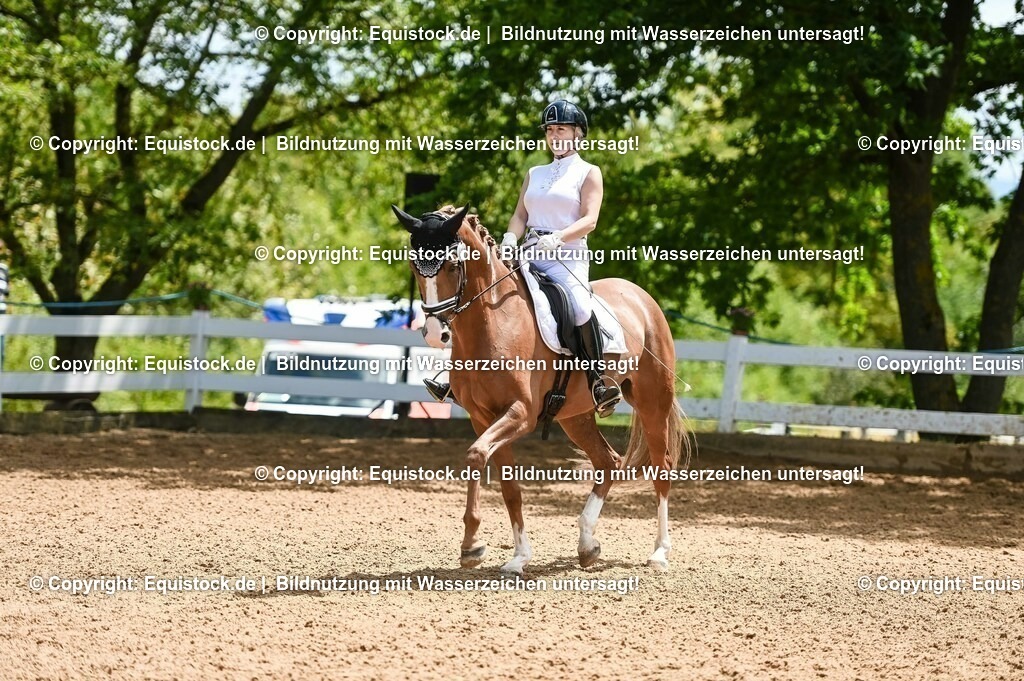 20230716_03_Dressurprfg. Kl.L - Tr._0530 | equistock