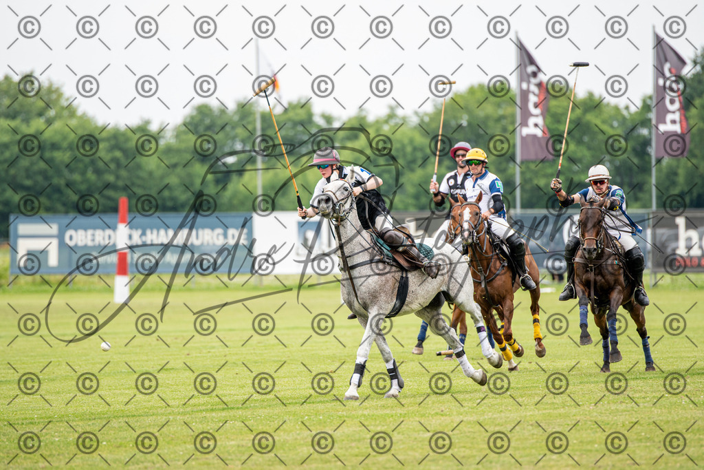 POL_3916 | andre_photographic