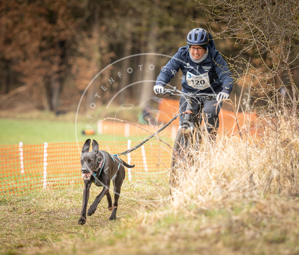 DV3A1057 | Hundefotografie, Tierfotograf, Pfotenfotografie, Fotoshooting Hund, Hunde Portrait, Hundesport, Hundeportraits, Heideshooting, Hunde, Sportfotograf, Hundefotograf, Turnierhundsport, THS,  - Realisiert mit Pictrs.com