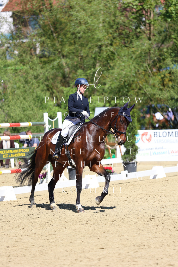 IMGS1663 | pl-fotografie