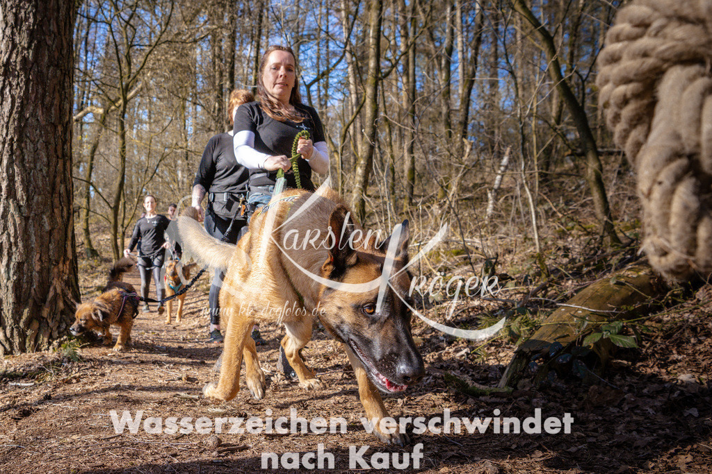 0914_ZZ96737 | kk-dogfotos