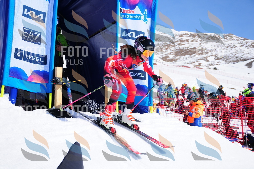 DSC_4098 | holidayphoto