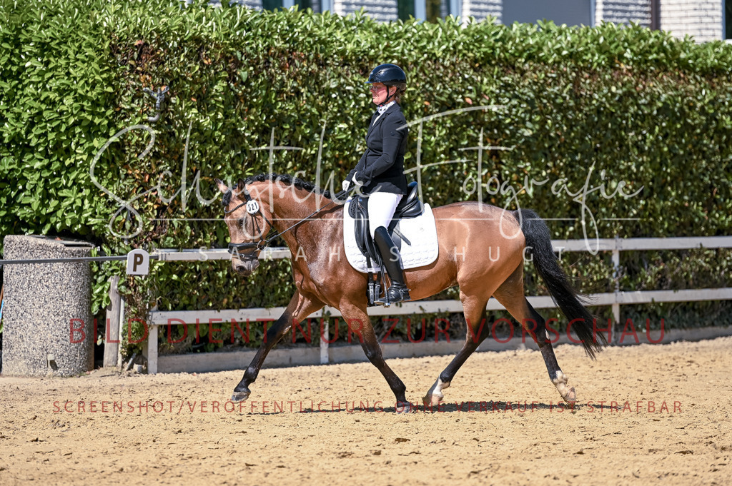 Schugtsche-Aluta25-49.Dressurpferdeprf.A-439 | Schugtsche Fotografie - Realisiert mit Pictrs.com