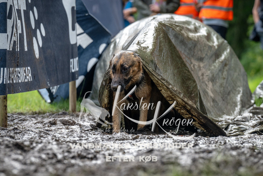 1059_ZZ93234 | kk-dogfotos