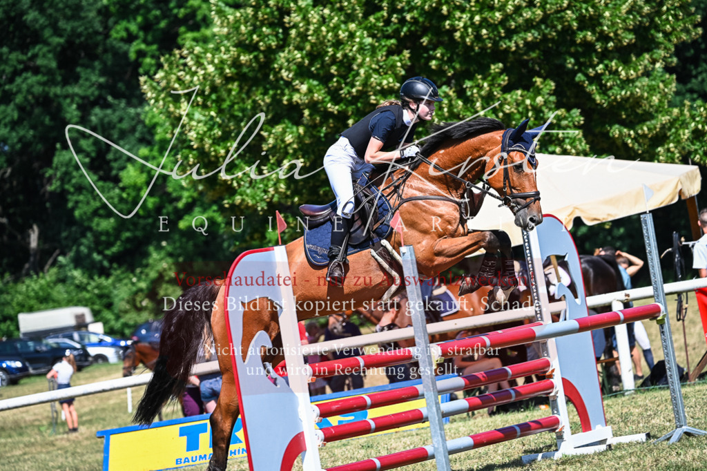 DSC_1478 | Pferde- und Turnierfotografie in Westsachsen. Pferdeportraits, Auftragszeichnungen und intuitive Kunst.