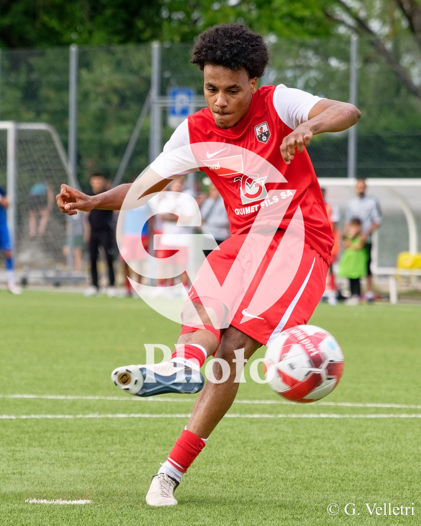 DSC_9560 | Velletri Photo