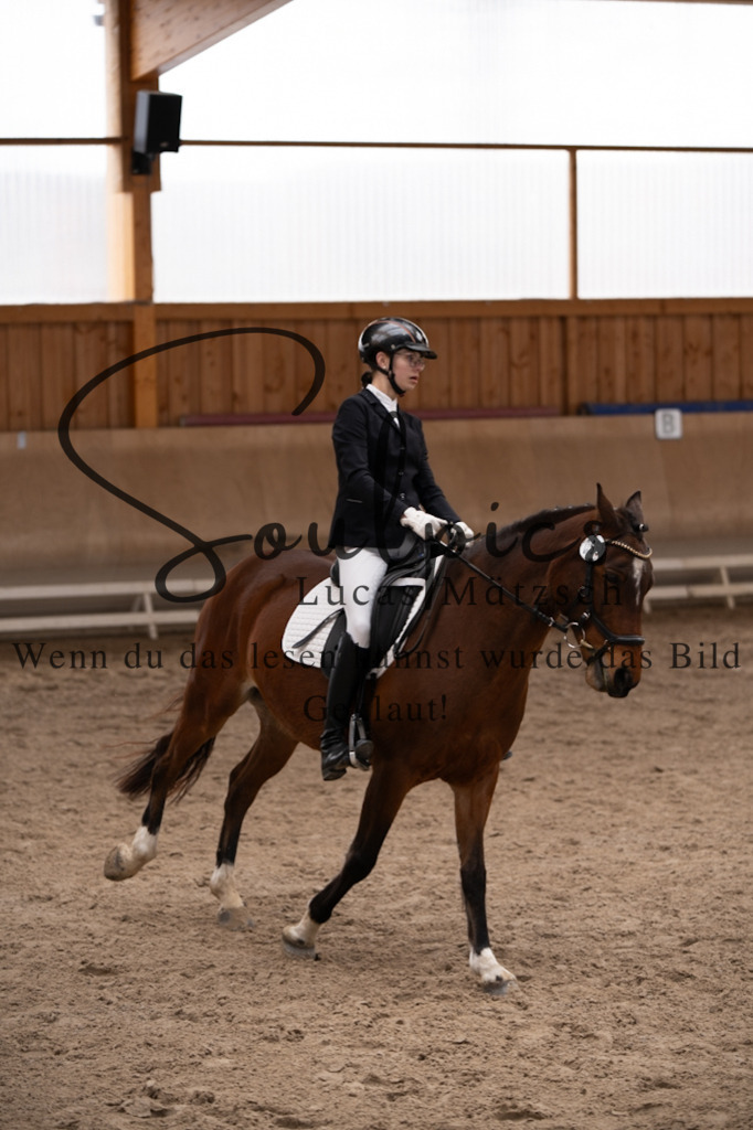 A7V09574 | Pferdefotograf