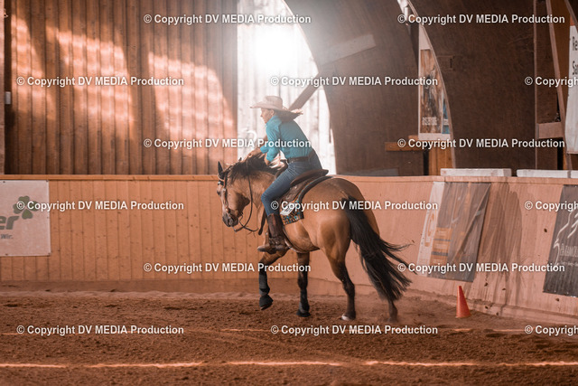 NE300676 | dv-media-shop - Realized with Pictrs.com