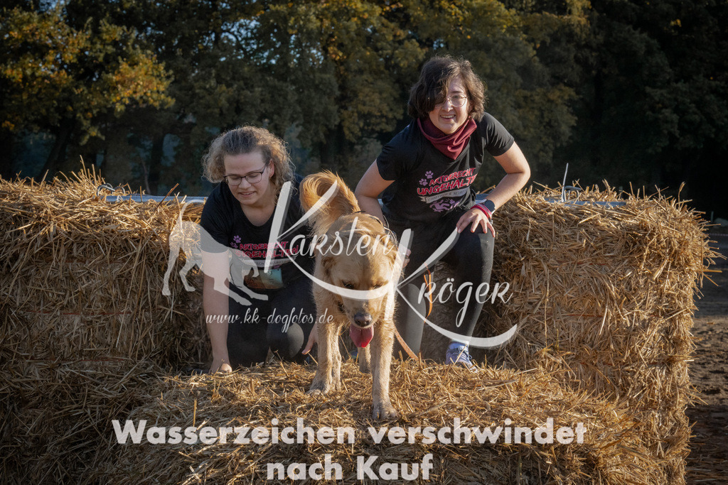 0934_ZZ93788 | kk-dogfotos