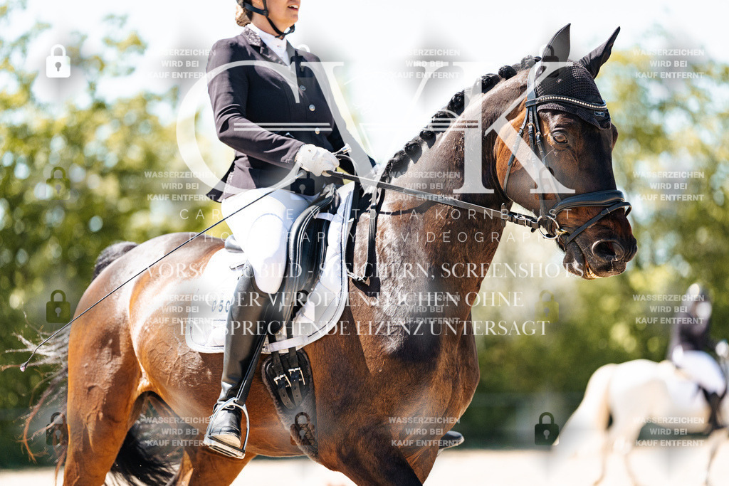 CK905429 | Turnierfotografie Pferdefotografie Trier Rheinland-Pfalz Pferdesport Reitsport Tierfotografie Sportfotografie Pferdevideo Pferdevideografie Equestrianvideography equestrianphotography  - Realisiert mit Pictrs.com