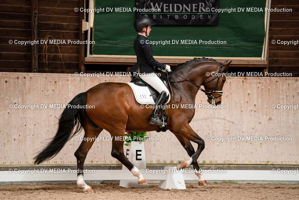 Dressur Tag 1 -100 | dv-media-shop - Realisiert mit Pictrs.com