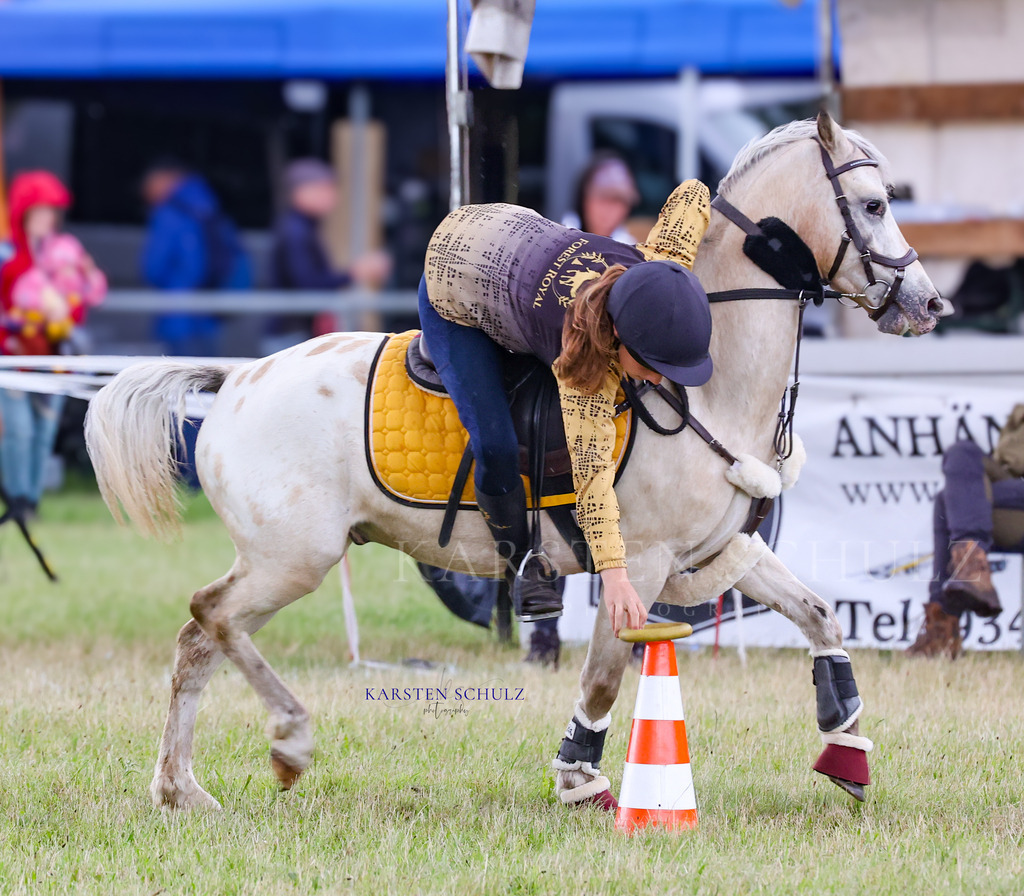 1B3A0408 | Reitsport Reiten