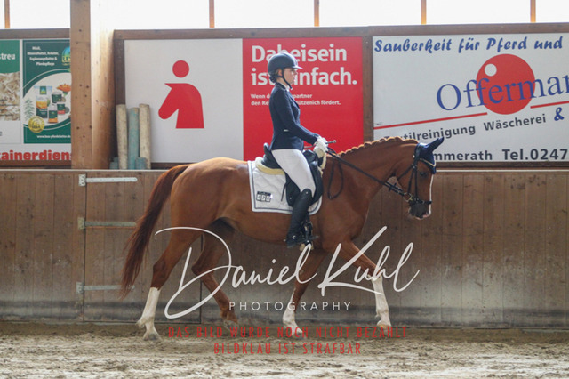 DKP44131 | Turniersportfotografie; Pferdefotografie; Dressurfotografie