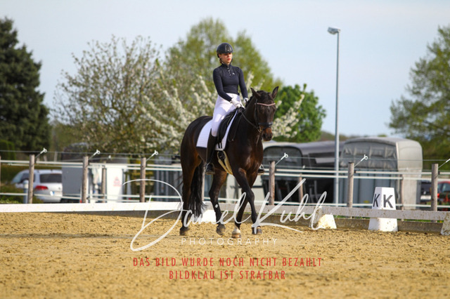 DKP43403 | Turniersportfotografie; Pferdefotografie; Dressurfotografie