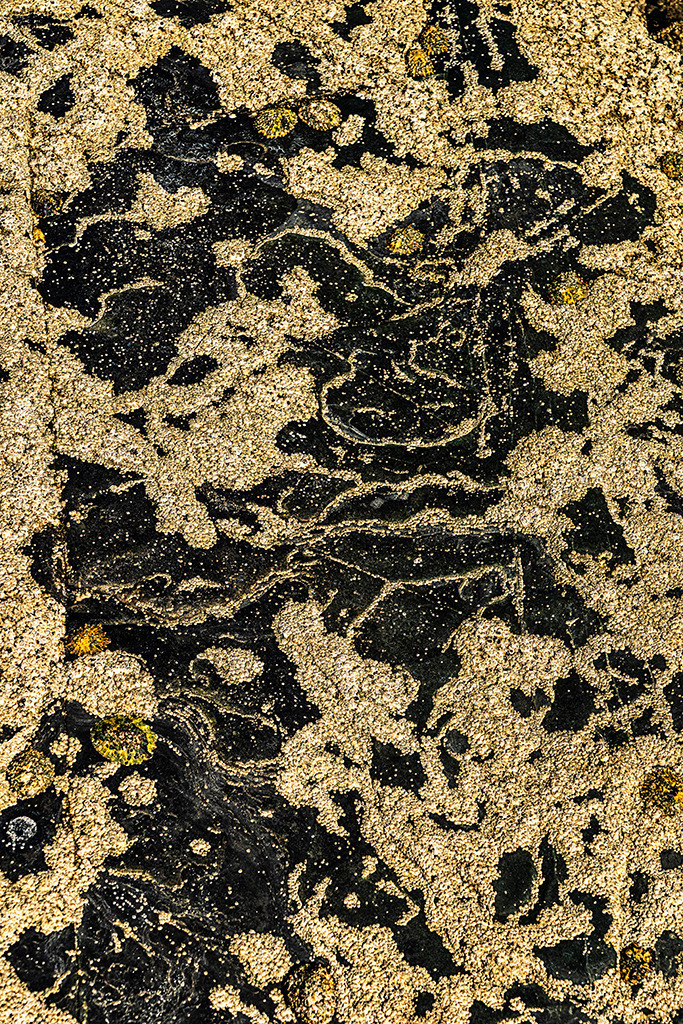 Seepocken-Landkarte | Best. Nr. e_2025_09_3069 - Realisiert mit Pictrs.com