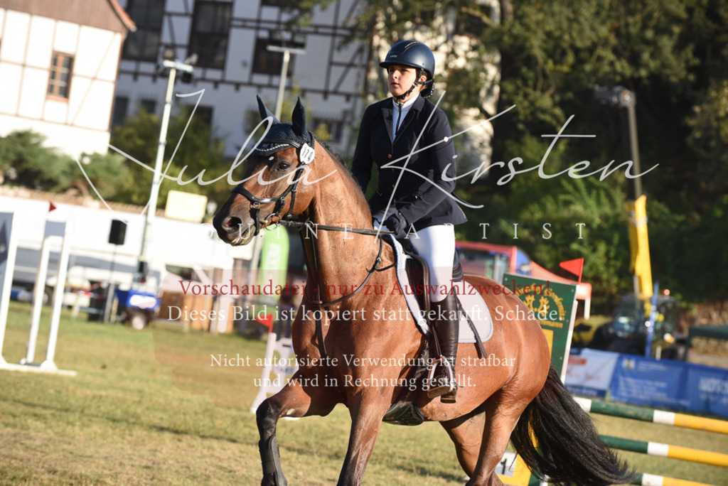 DSC_4887 | Pferde- und Turnierfotografie in Westsachsen. Pferdeportraits, Auftragszeichnungen und intuitive Kunst.