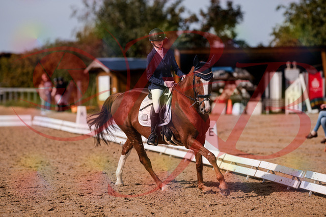 2026_10_03_Siefer-Hof_123801_Z81_34935634 | Professionelle Reitsport-, Turnier- und Eventfotografie von Robert Broda. Galerien mit ausgewählten und bearbeiteten Bildern direkt online ansehen und bestellen.