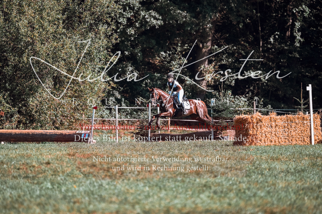 DSC_0762 | Pferde- und Turnierfotografie in Westsachsen. Pferdeportraits, Auftragszeichnungen und intuitive Kunst.