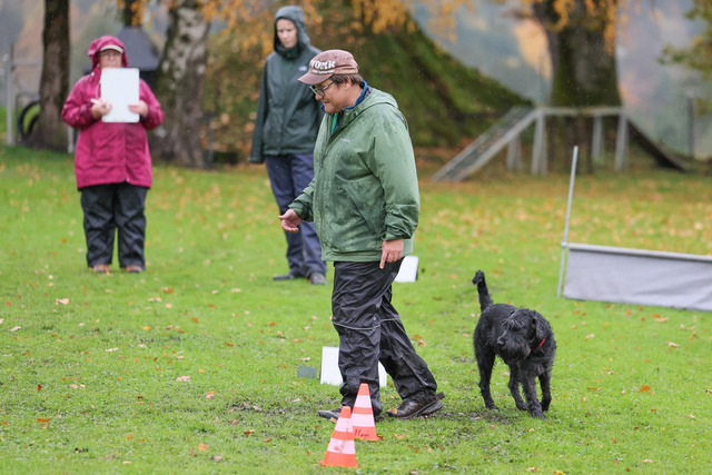 2025_Rally_Obedience_SM-51 | Ich fotografiere Hundeausstellungen, Sportanlässe, Zuchtstätten, Hundezucht, Hundeportrait, Lagotto - Realisiert mit Pictrs.com