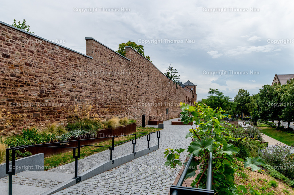 Worms-2025DSC_8693 | Die Stadtmauer bei St. Andreas in Worms gehört zu den ältesten mittelalterlichen Stadtbefestigungen Deutschlands. Gut erhaltene Sandsteinmauern und ein markantes Tor prägen dieses historische Wahrzeichen in der Wormser Altstadt.