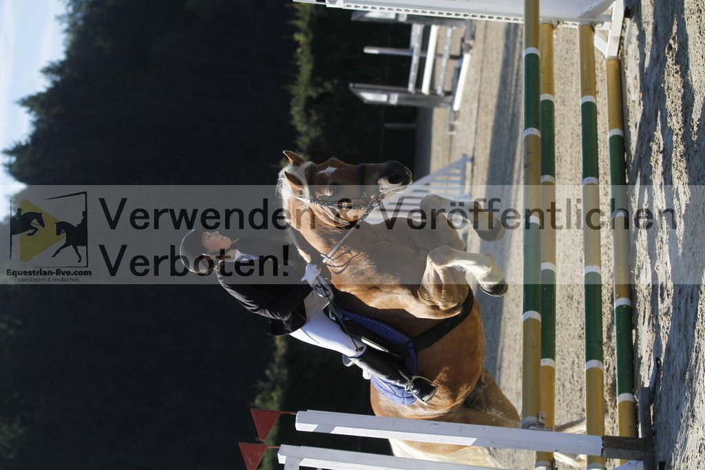 _MG_3831 | equestrian-live-com