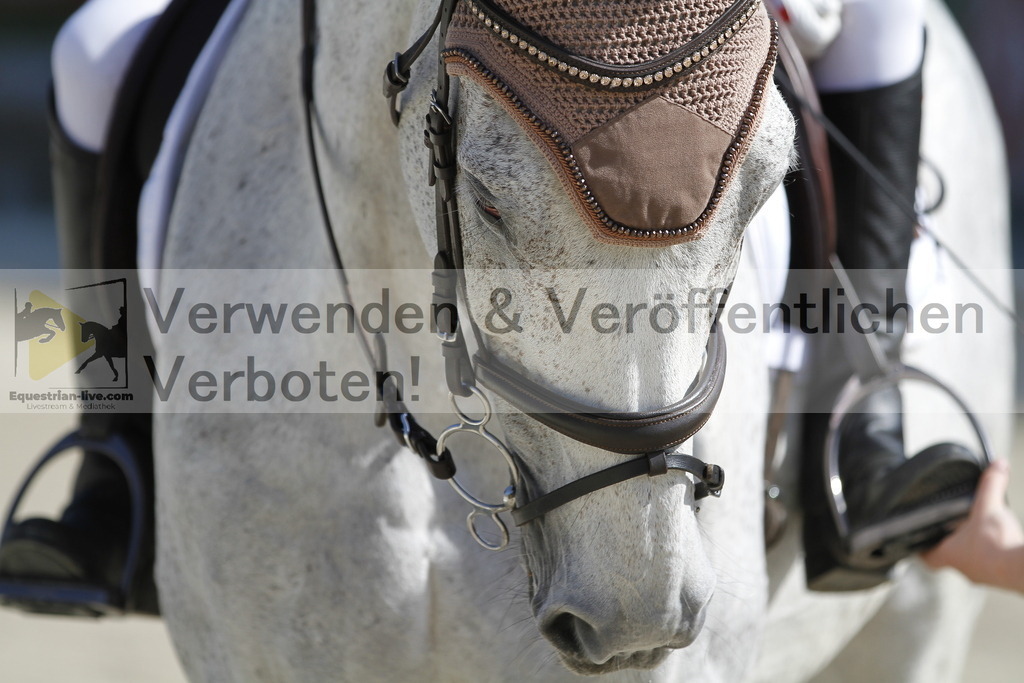 _MG_6478 | equestrian-live-com