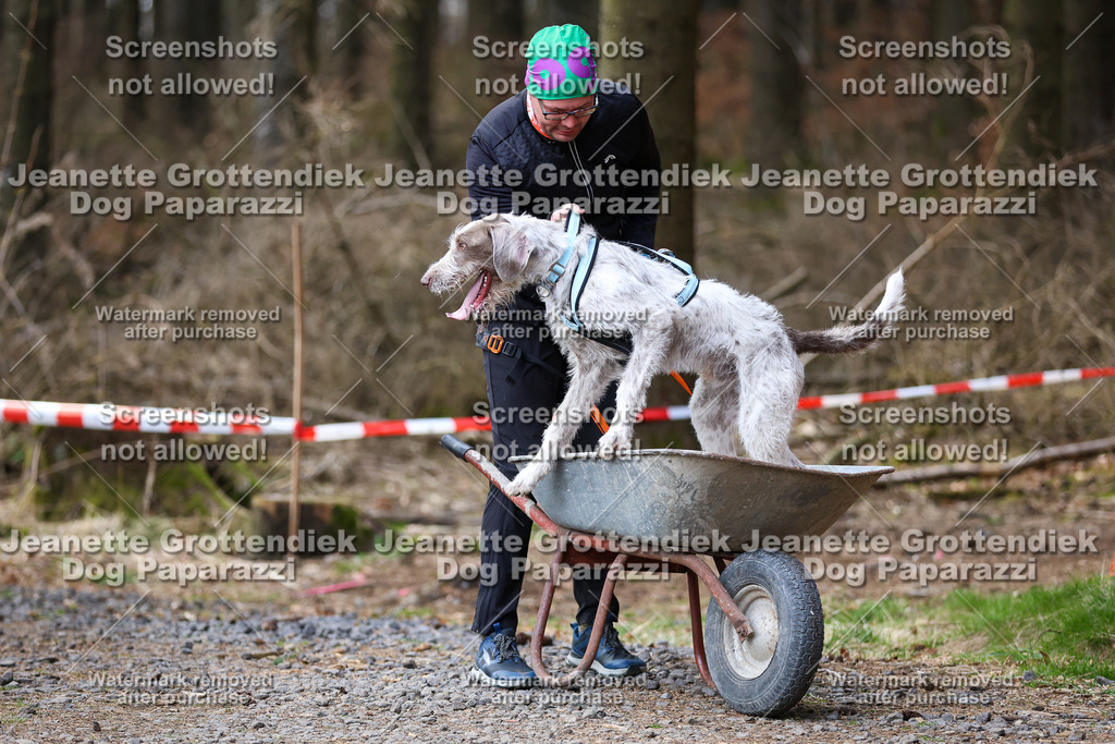 Dog Paparazzi - VCC26-665 | Dog Paparazzi Jeanette Grottendiek Fotografie & Videografie - Realisiert mit Pictrs.com