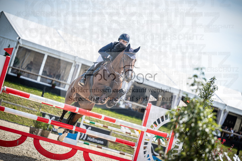 DOS_7009 | Entdecke hochwertige Reitturnierfotos von Foto Oger. Professionell, emotional und authentisch – jetzt Lieblingsmomente im Shop bestellen.Deutschlandweite Turnierfotografie. - Realisiert mit Pictrs.com
