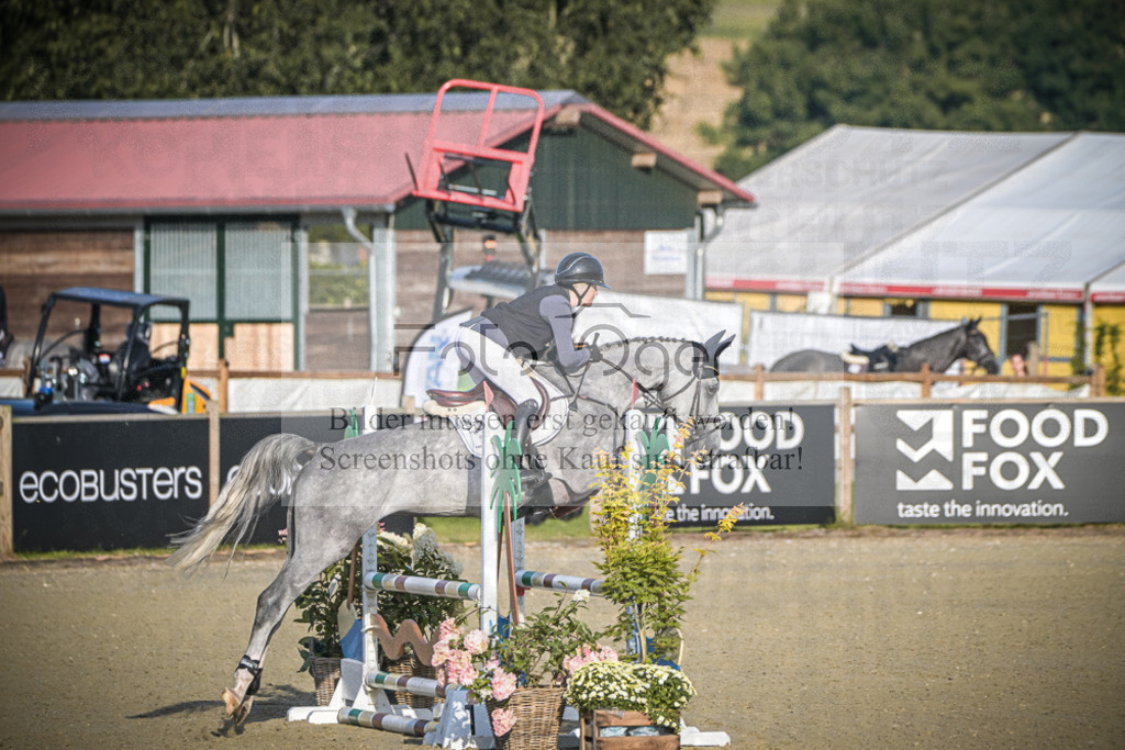 DOS_6976 | Entdecke hochwertige Reitturnierfotos von Foto Oger. Professionell, emotional und authentisch – jetzt Lieblingsmomente im Shop bestellen.Deutschlandweite Turnierfotografie. - Realisiert mit Pictrs.com