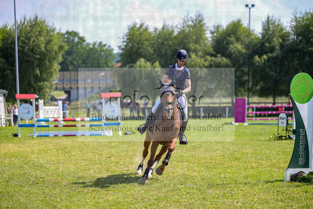 Reitturnier Voxtrup | Entdecke hochwertige Reitturnierfotos von Foto Oger. Professionell, emotional und authentisch – jetzt Lieblingsmomente im Shop bestellen. - Realisiert mit Pictrs.com