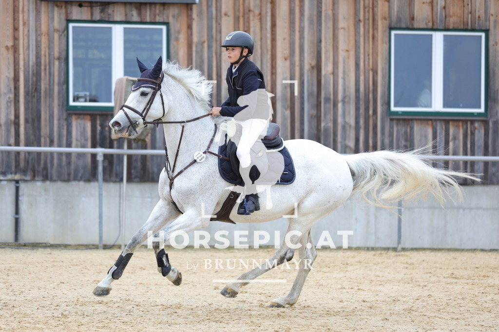 0P6A1179 | Willkommen bei Brunnmayr - Design & Fotografie – Ihrem Spezialisten für Reitturniere und Pferdeveranstaltungen in Oberösterreich, Salzburg und Bayern! Seit über 17 Jahren sind wir leidenschaftlich dabei.