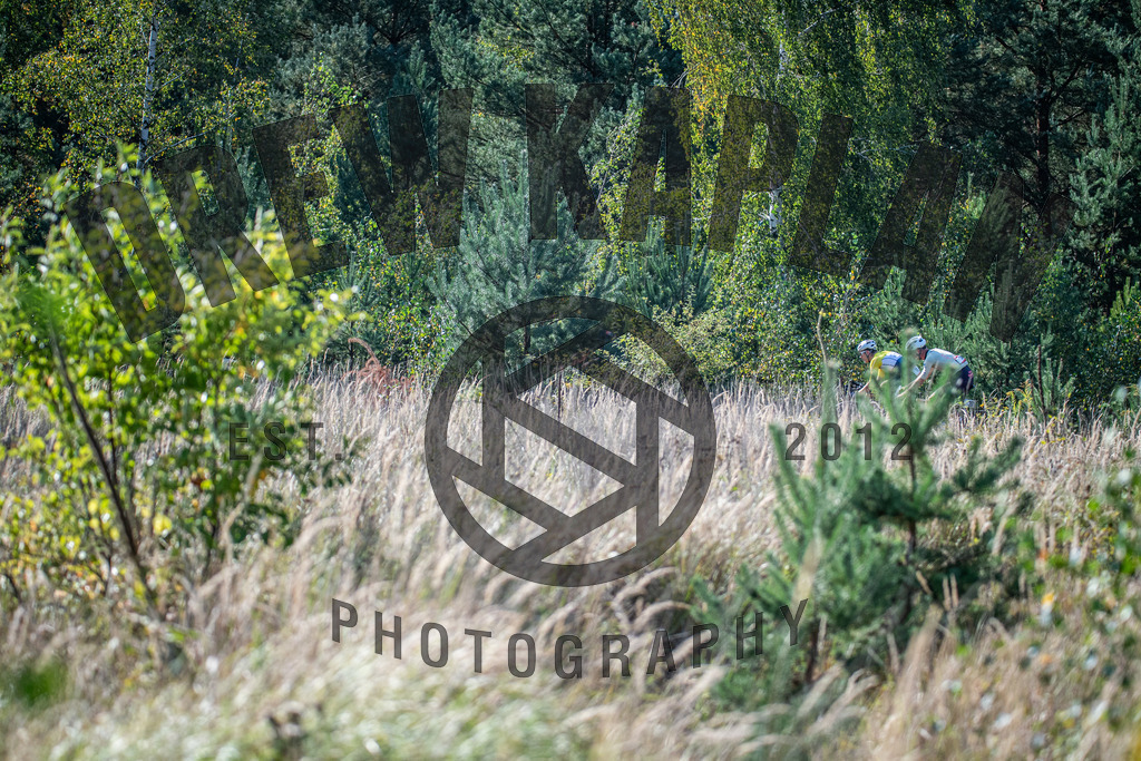 DKP-1530 | Drew Kaplan Photography