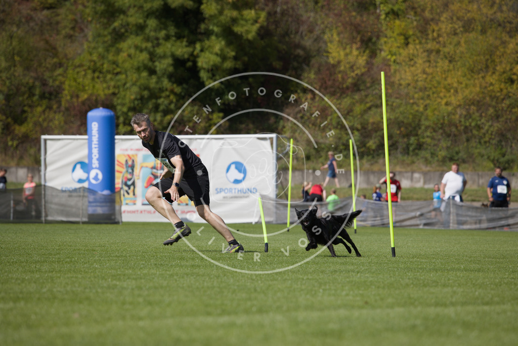 0L8A3085 | Hundefotografie, Tierfotograf, Pfotenfotografie, Fotoshooting Hund, Hunde Portrait, Hundesport, Hundeportraits, Heideshooting, Hunde, Sportfotograf, Hundefotograf, Turnierhundsport, THS,  - Realisiert mit Pictrs.com
