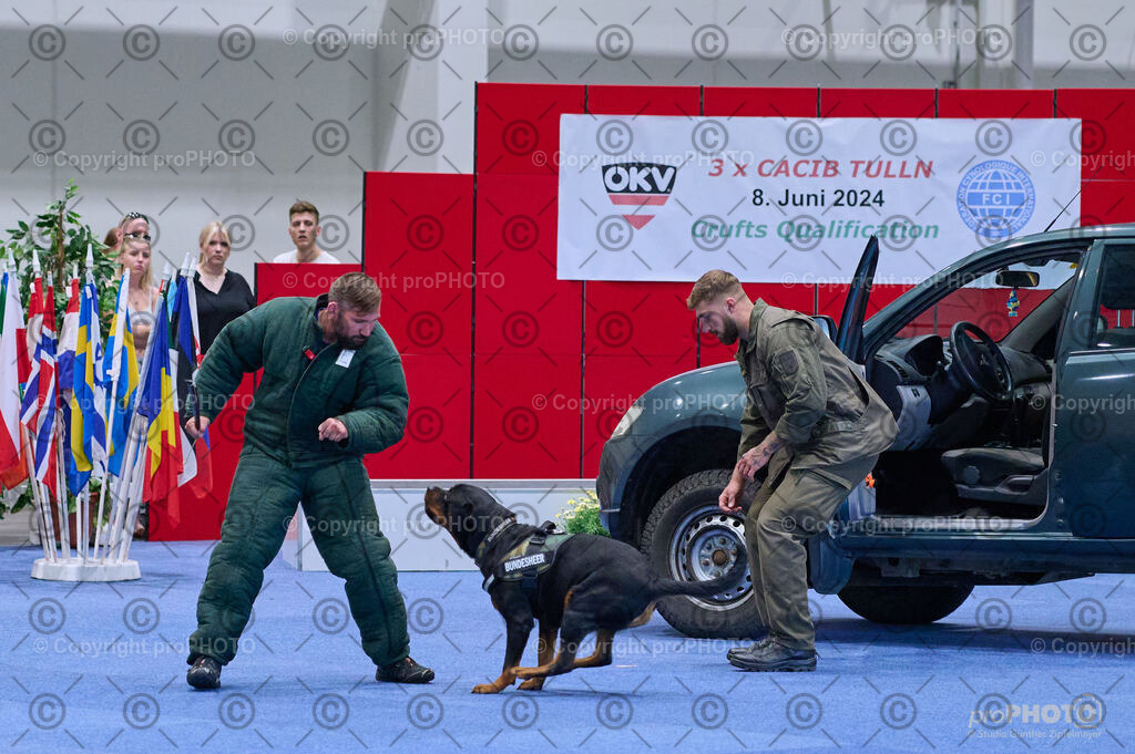 202406_ÖKV-IHA-Tulln24_DSC_3600 | proPHOTO - Realisiert mit Pictrs.com